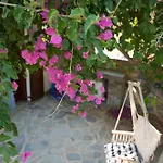 Sophia Villa *