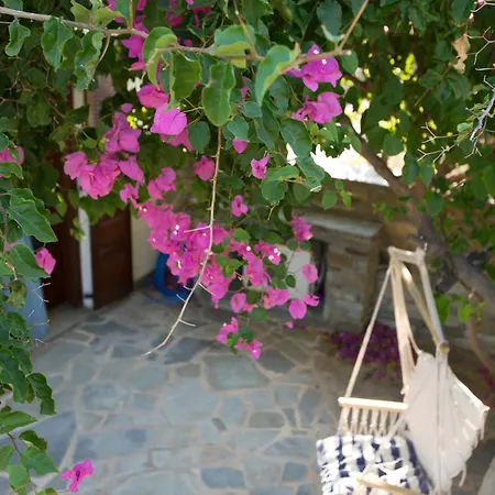 Sophia Villa *